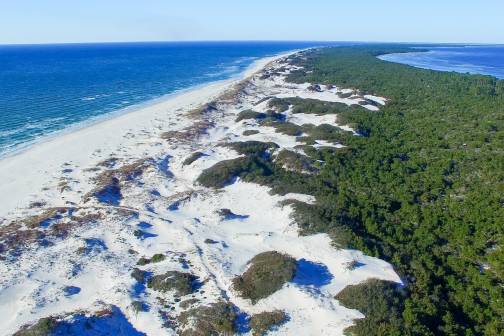 Cape San Blas Vacation Rentals