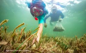 Scalloping on the Forgotten Coast Gulf County Florida