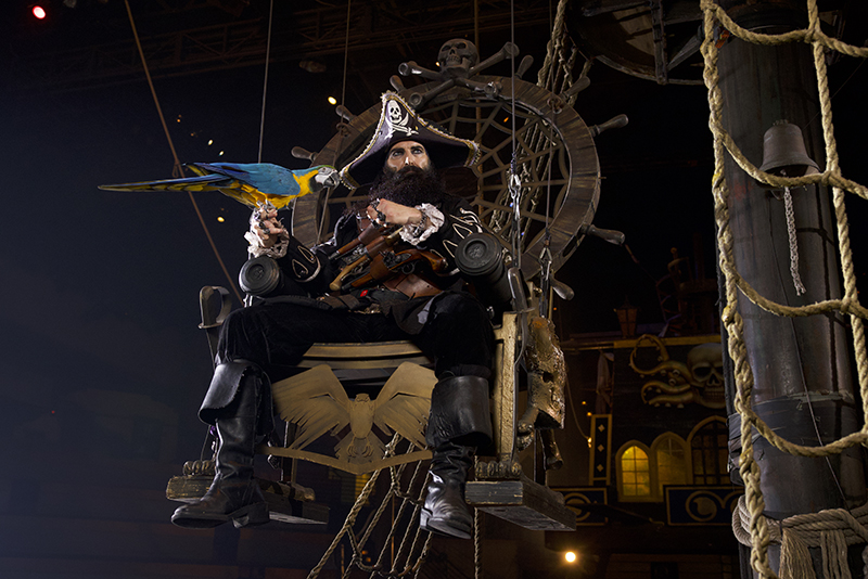 Dolly Parton Pirates Voyage in PCB